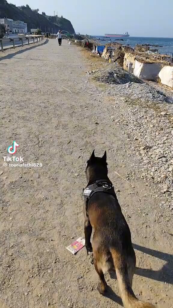 Miniatura del vídeo