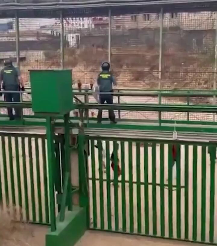 Miniatura del vídeo