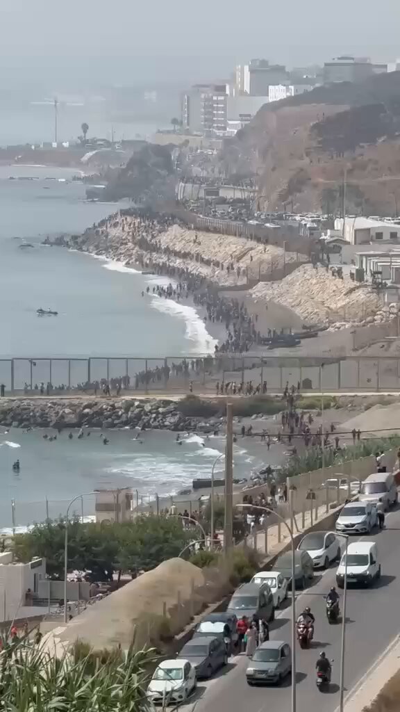 Miniatura del vídeo