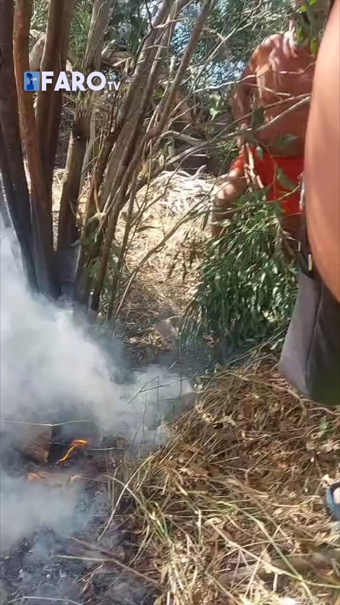 Miniatura del vídeo
