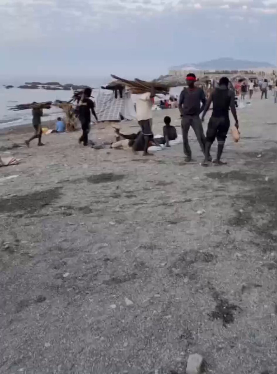 Miniatura del vídeo