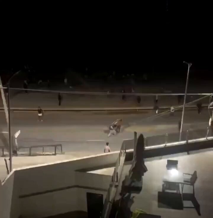 Miniatura del vídeo