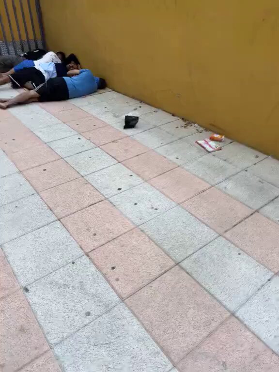 Miniatura del vídeo