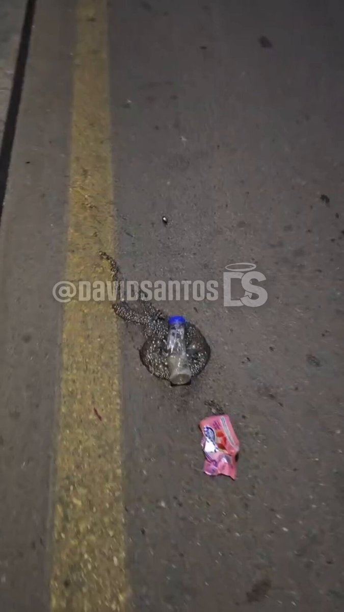 Miniatura del vídeo